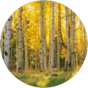 Judi Southward profile picture